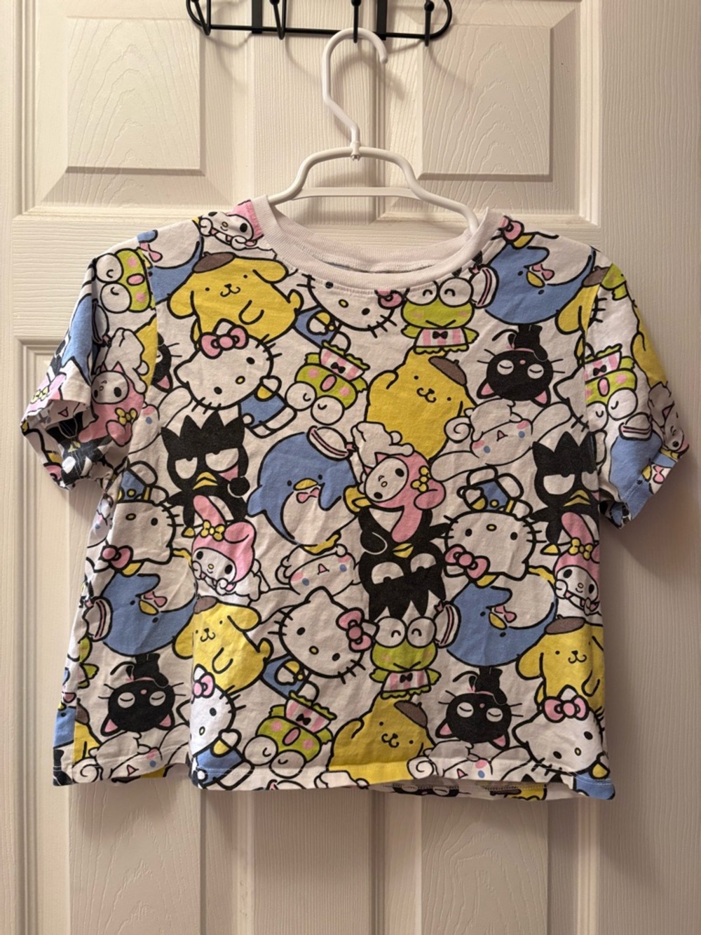 Sanrio Cropped Tee